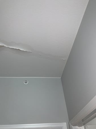 Images Rex Environmental