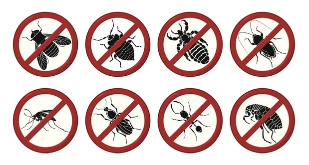 Images Empire Pest Control Inc. NC