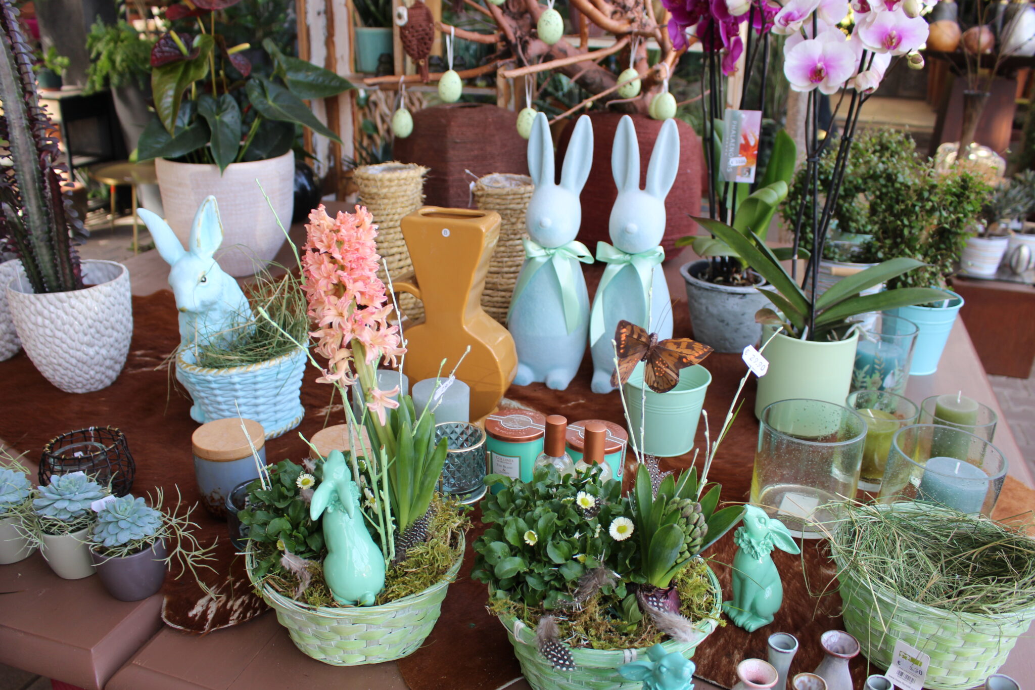 Bild 3 von Blumen Bäume Garten Mölzer