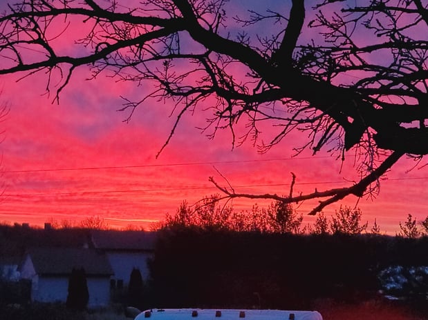 Images Enchanted Forests Inc