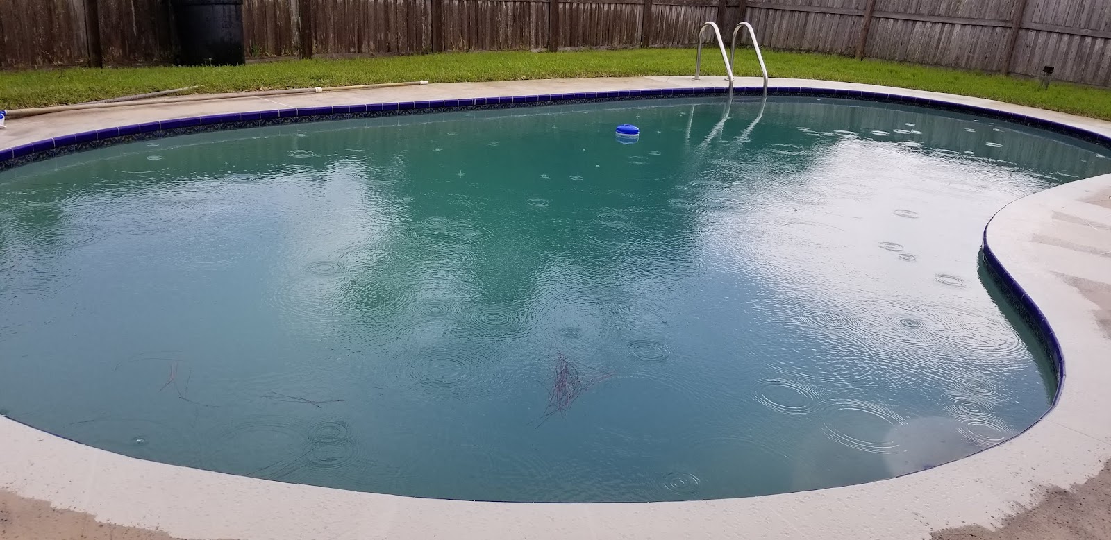 Freeform residential swimming pool with blue-green water, curved edges, light concrete decking, and a fenced backyard.