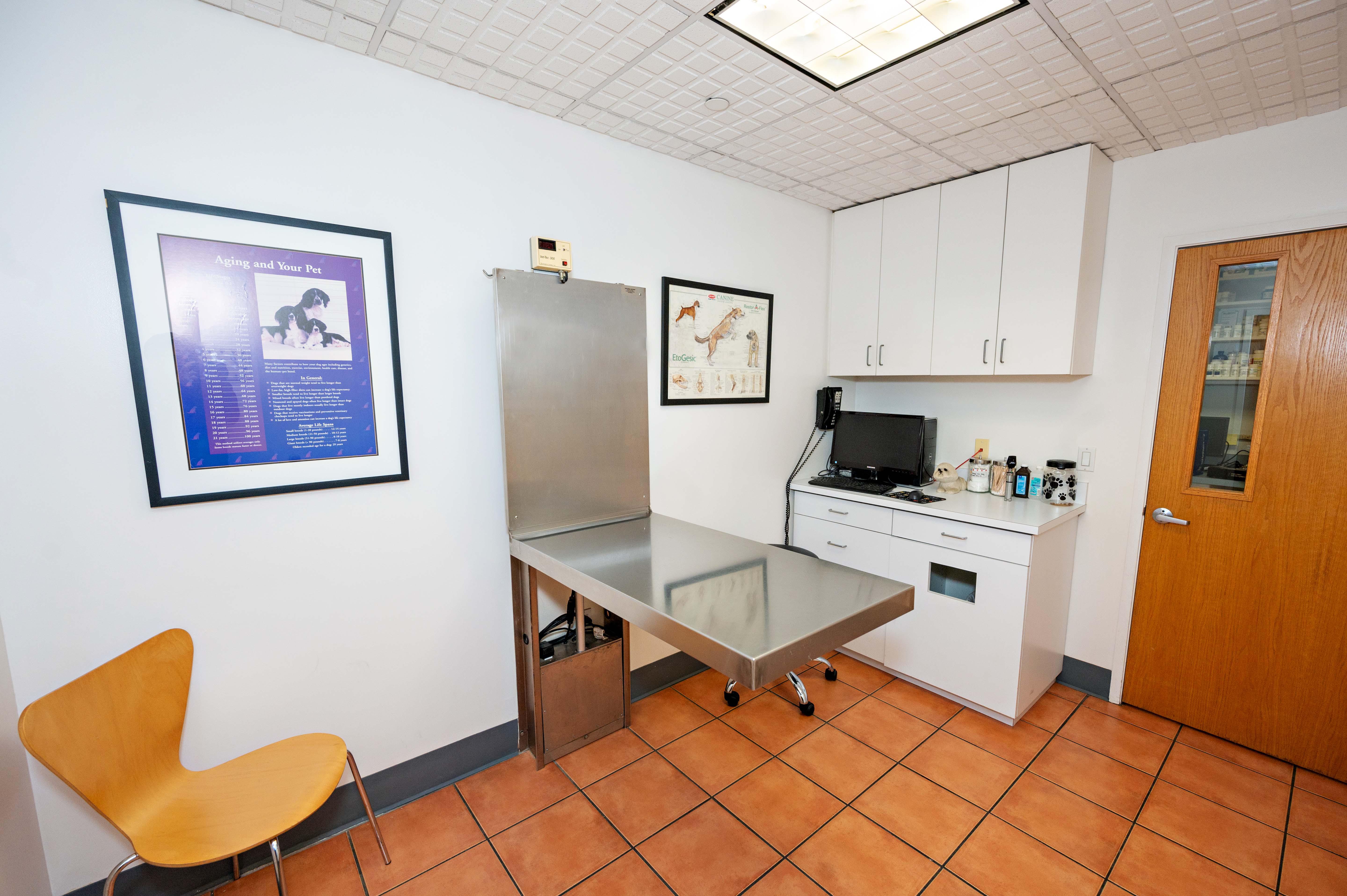 Hartsdale Veterinary Hospital has multiple private exam rooms where your pet will be examined by one of our experienced veterinarians.