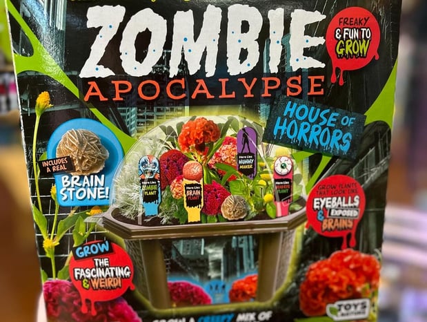 Images The Wonder Emporium