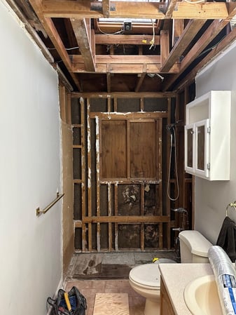 Images EZ Mitigation