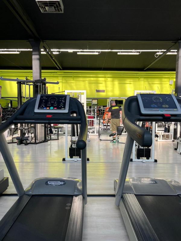 Images Dynamic Gym