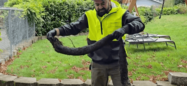 Images Knight Rooter Sewer & Drain Cleaning Services