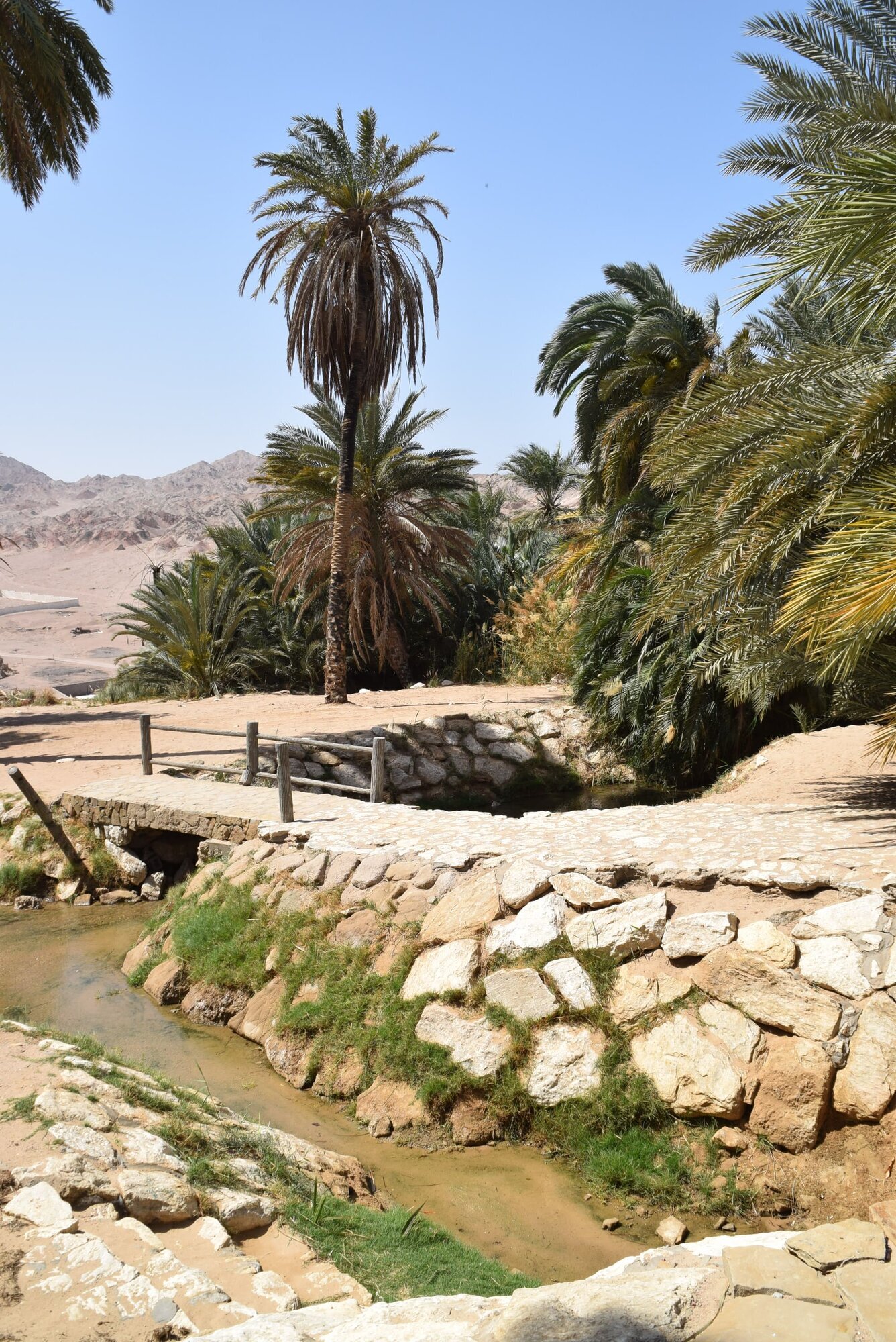 Bilder Saudi Arabien Reisen