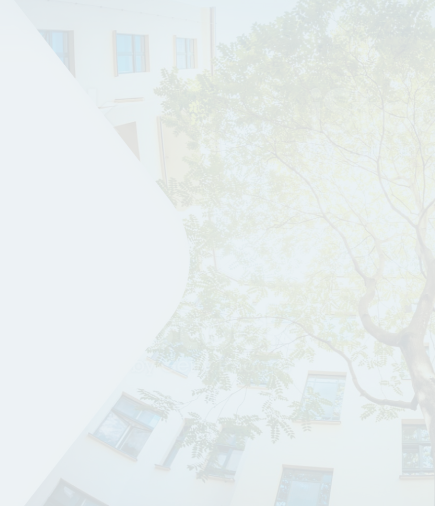 Bottom up view of tree in a courtyard.