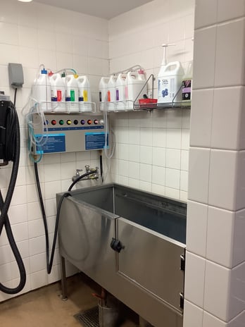 Images Petco Grooming