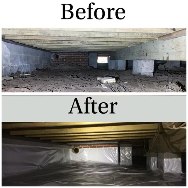 Images Hazmatt Pest Control