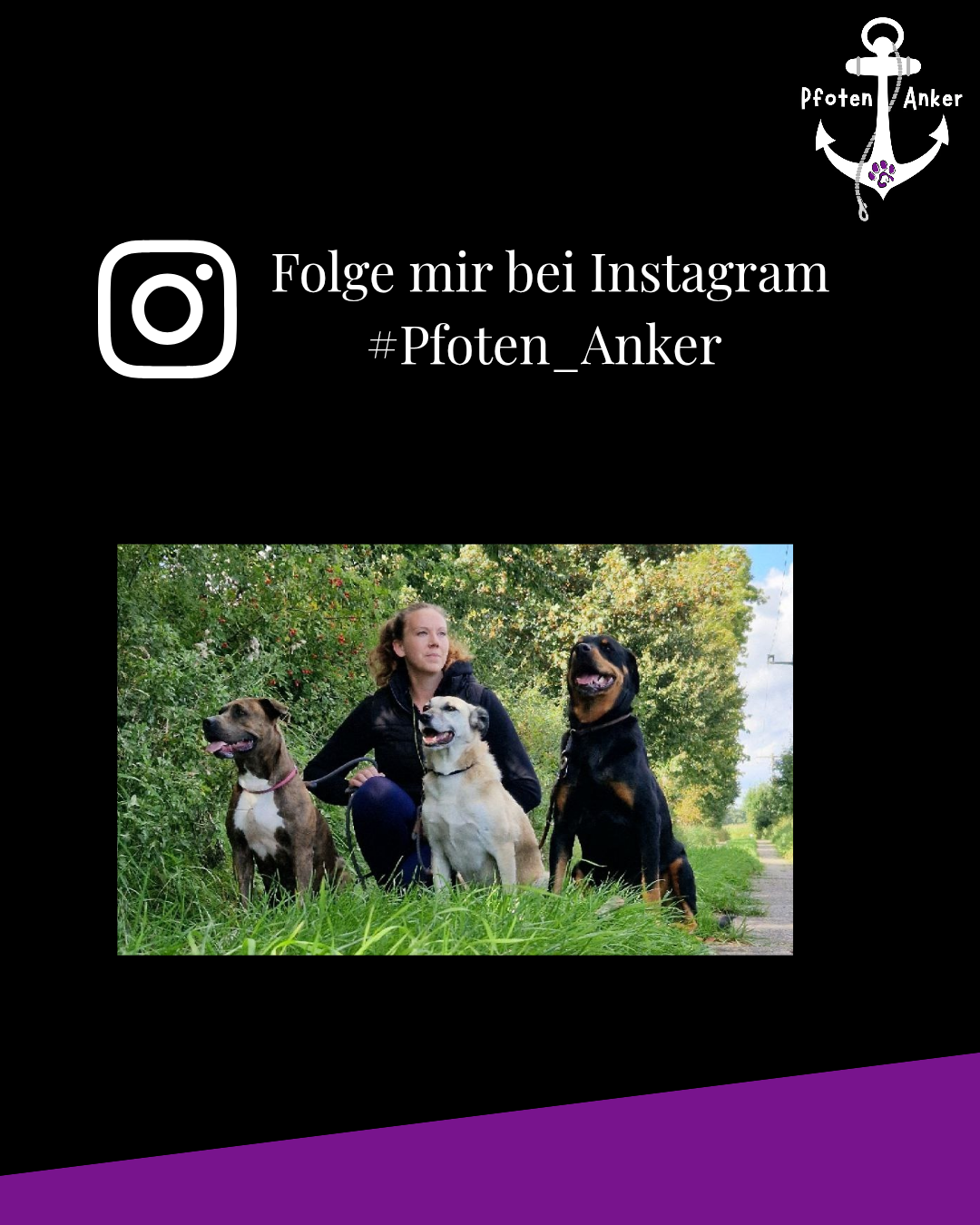 Pfoten Anker, Alt Pastitz 5 in Putbus