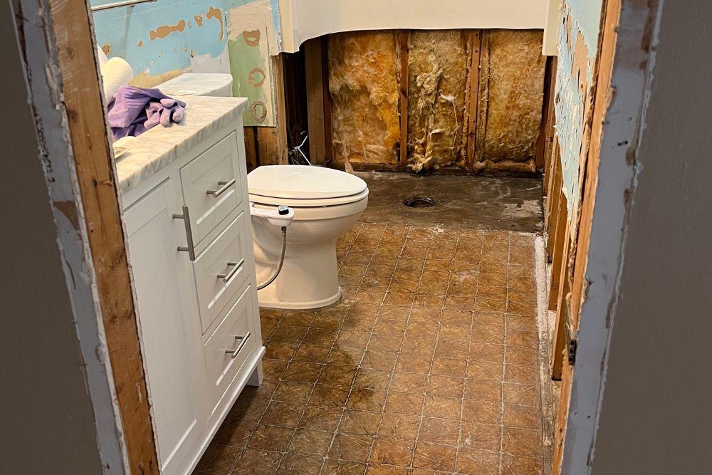 Pictured here are Minneapolis water damage and mold remediation.
