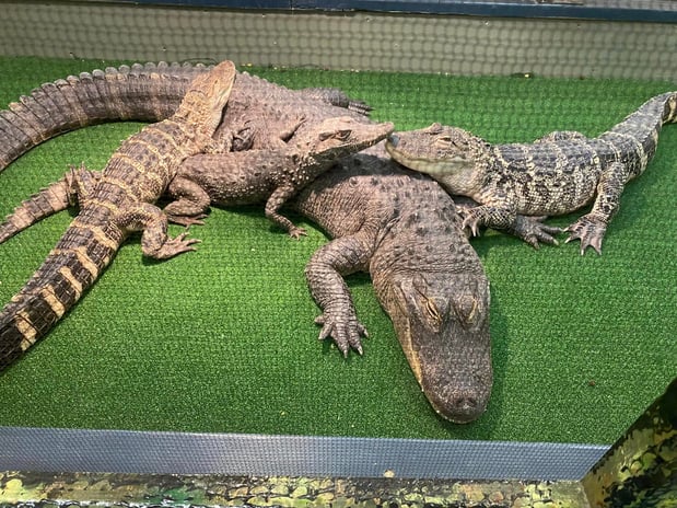 Images Visit Lakeville Minnesota