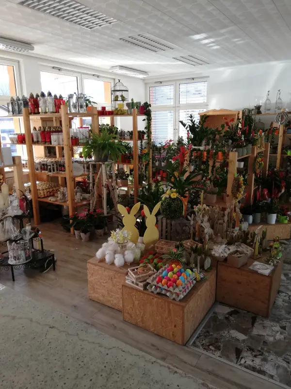 Bild 3 von Blumen Claudia