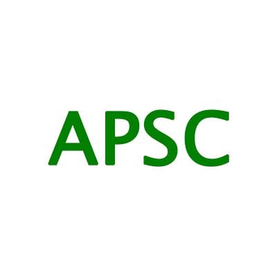 A.P. &amp; Sons Construction, Inc. Logo