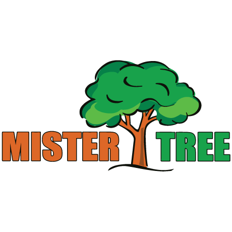 Mister Tree