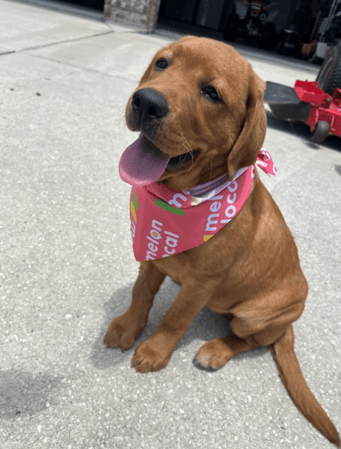 Images Bret Denney - State Farm Insurance Agent