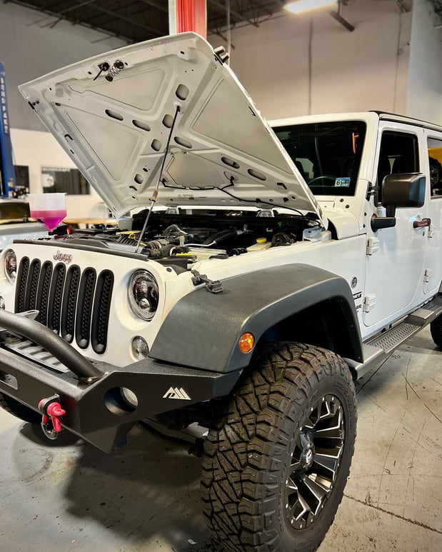 Images Loudoun County Exotics