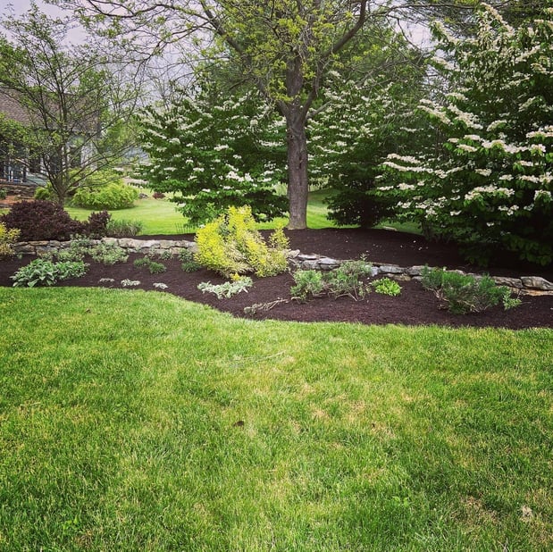 Images Barr Landscaping