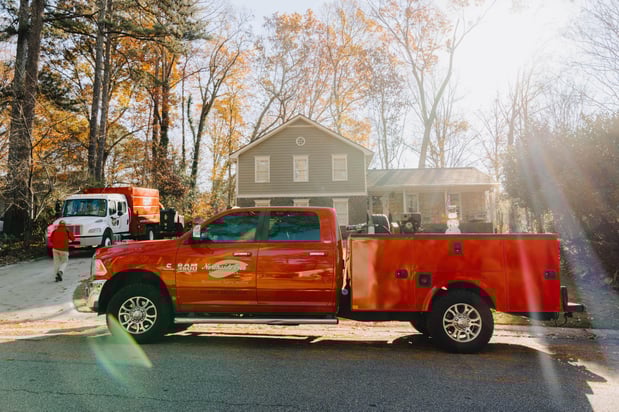 Images Northside Tree Professionals