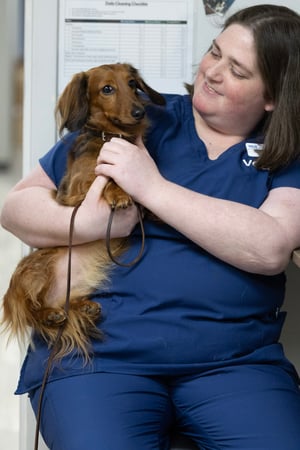 Images VCA Marshalltown Animal Hospital - CLOSED