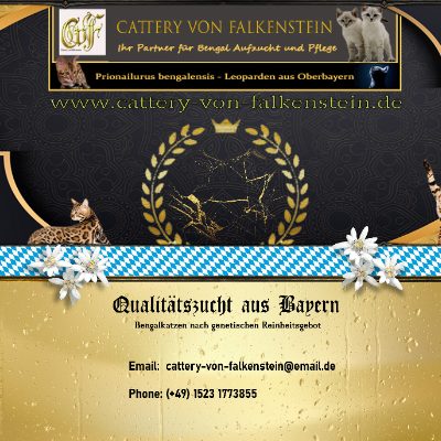 Logo Cattery von Falkenstein