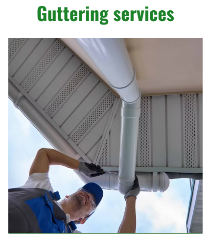 Exterior Cleaning, Softwash, Roof cleaning, powerwashing, gutter cleaning, gutter installations, Fascia & Soffits