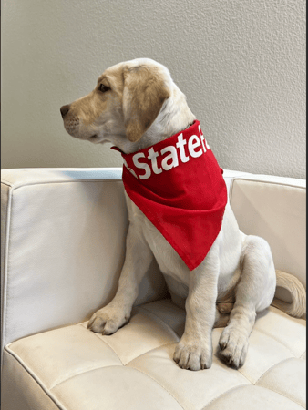 Images Rick Fowler - State Farm Insurance Agent