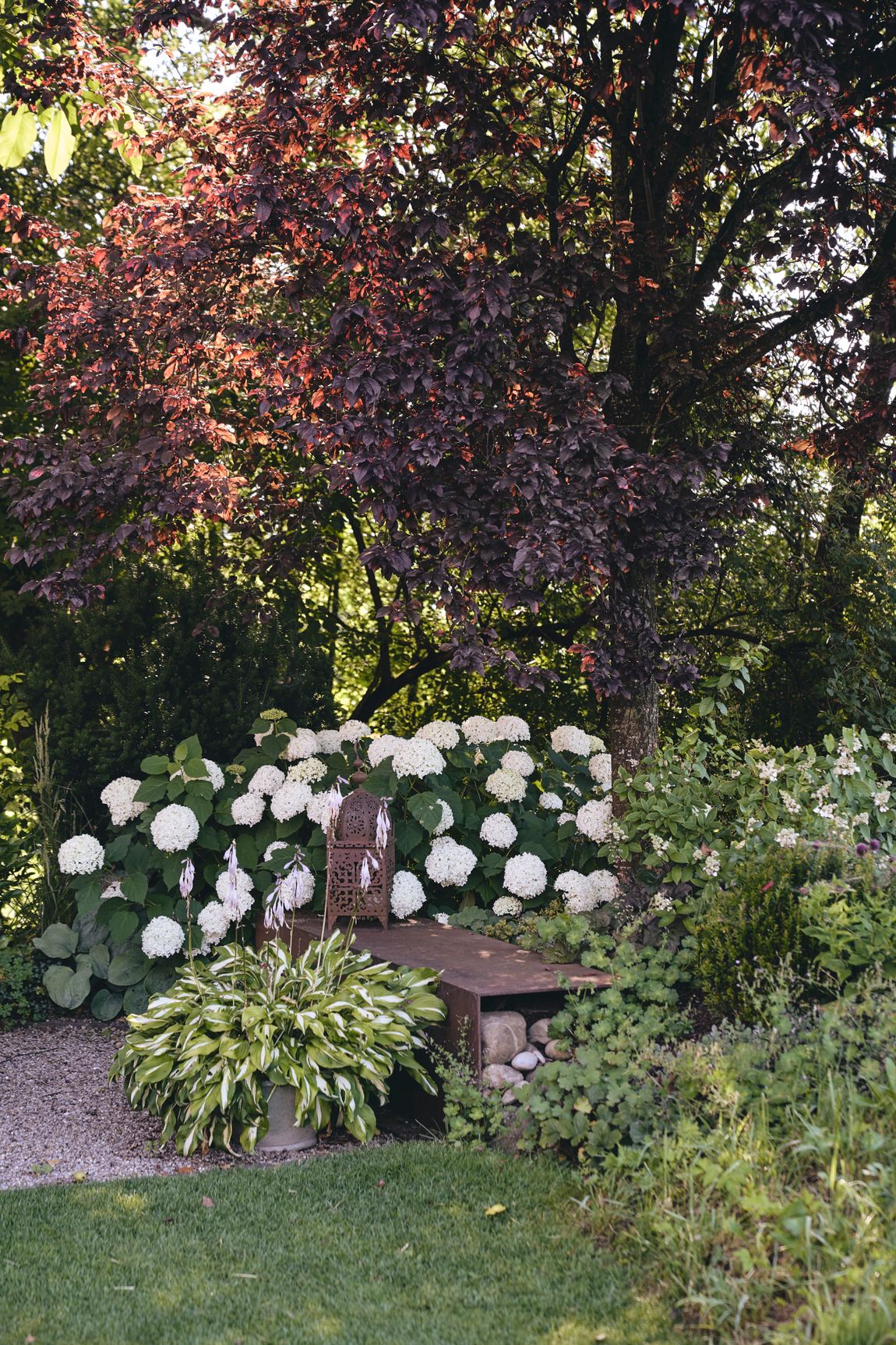 Bilder garten•kultur