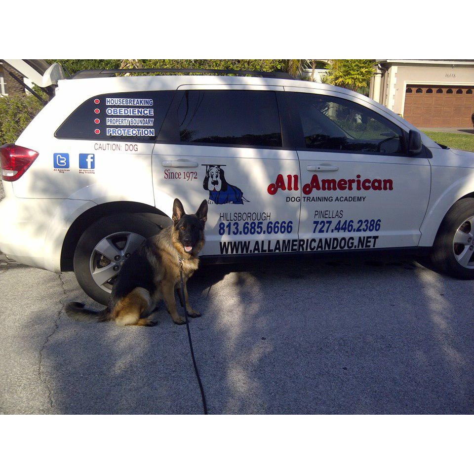 All American Dog Training Academy Logo