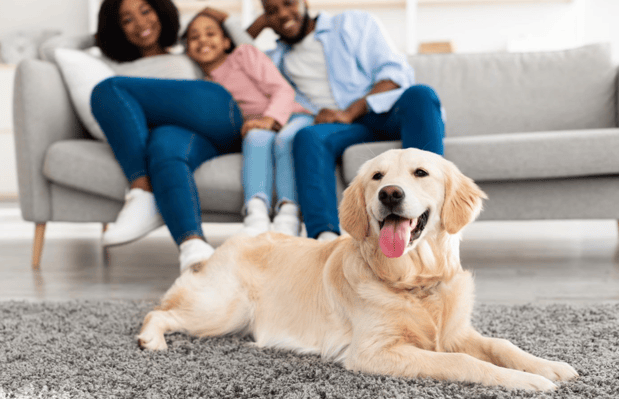 Images Candice Lyons at Comparion Insurance Agency