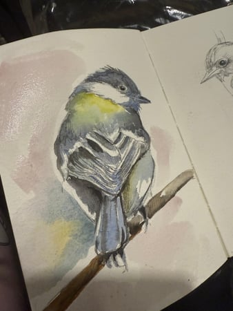 Images Knoxville Art Studio