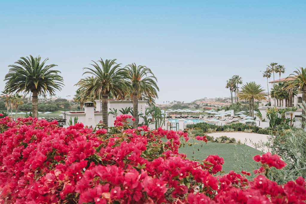 Waldorf Astoria Monarch Beach