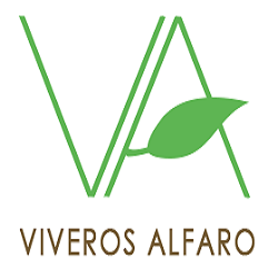 Images Viveros Alfaro