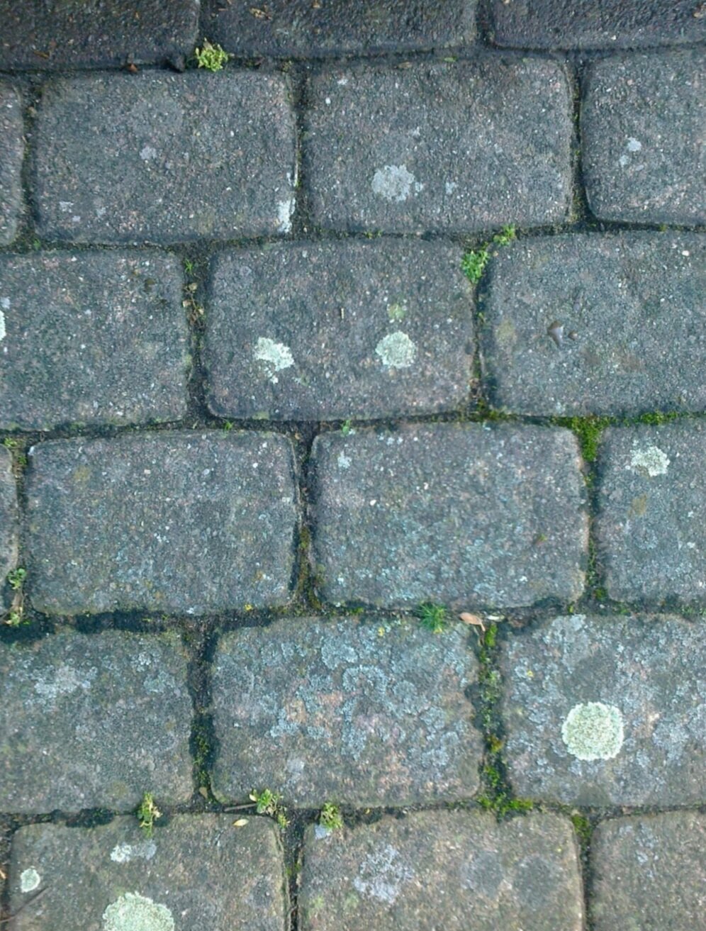 Steinreinigung Anton, Wilhelmstraße 1 in Bad Eilsen