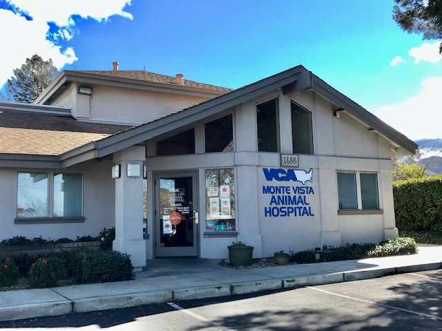Image 3 | VCA Monte Vista Animal Hospital
