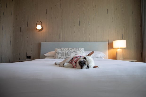 Images Kimpton Hotel Palomar South Beach by IHG