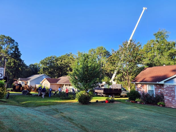 Images Broken Branch Tree Service LLC