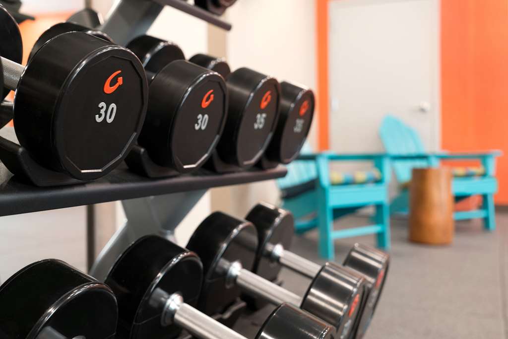 Health club  fitness center  gym