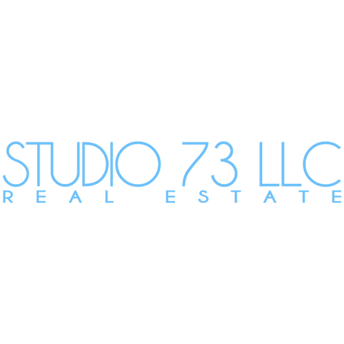 Judi Wolfswinkel Studio 73 Llc