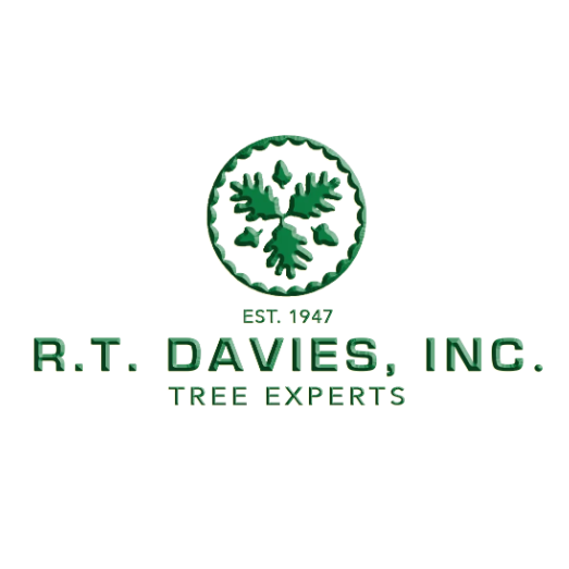 R.T. Davies Inc. Tree Experts Logo