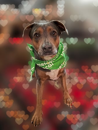 Images Kaitlyn Raymond - State Farm Insurance Agent