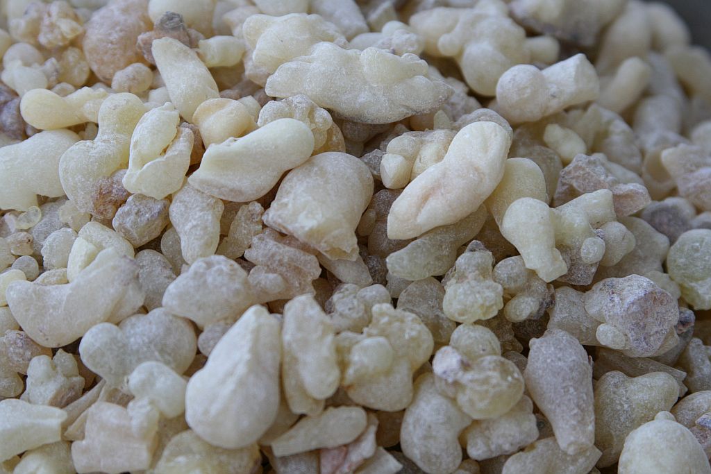 take roots, Obersteeg 28 in Engelskirchen