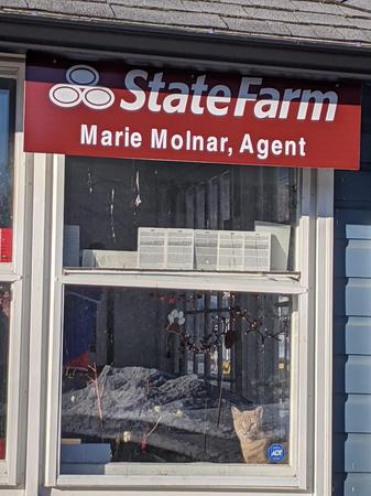Images Marie Molnar - State Farm Insurance Agent