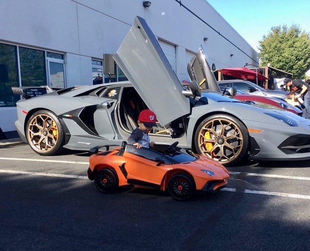Images Loudoun County Exotics