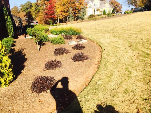Images L-Chavez Landscaping Services