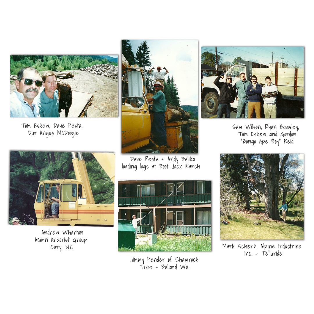 Heartwood West Tree Service Image