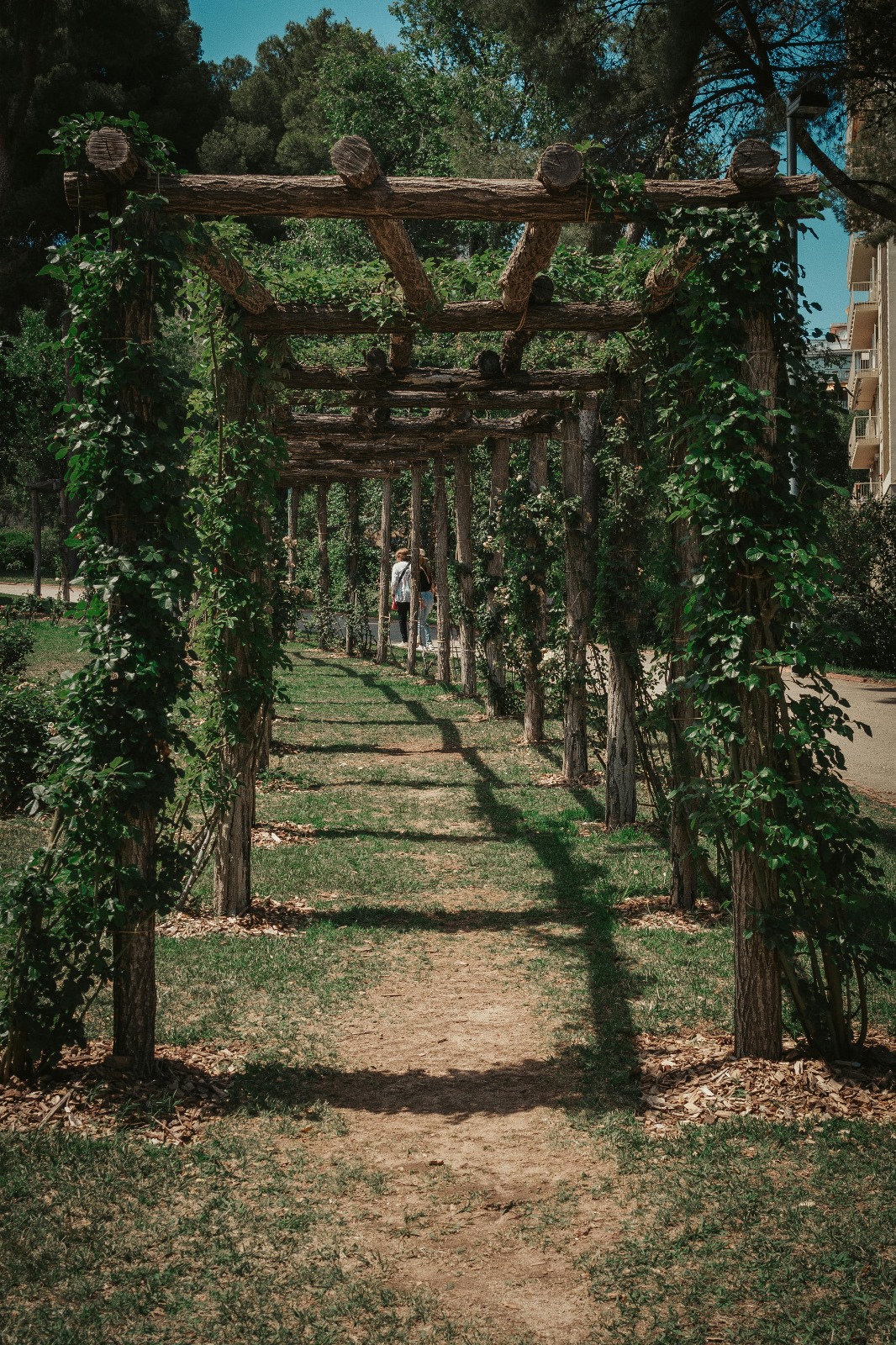 Images Multiservicios Alfan