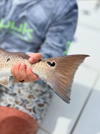 Images Slick Calm Charters