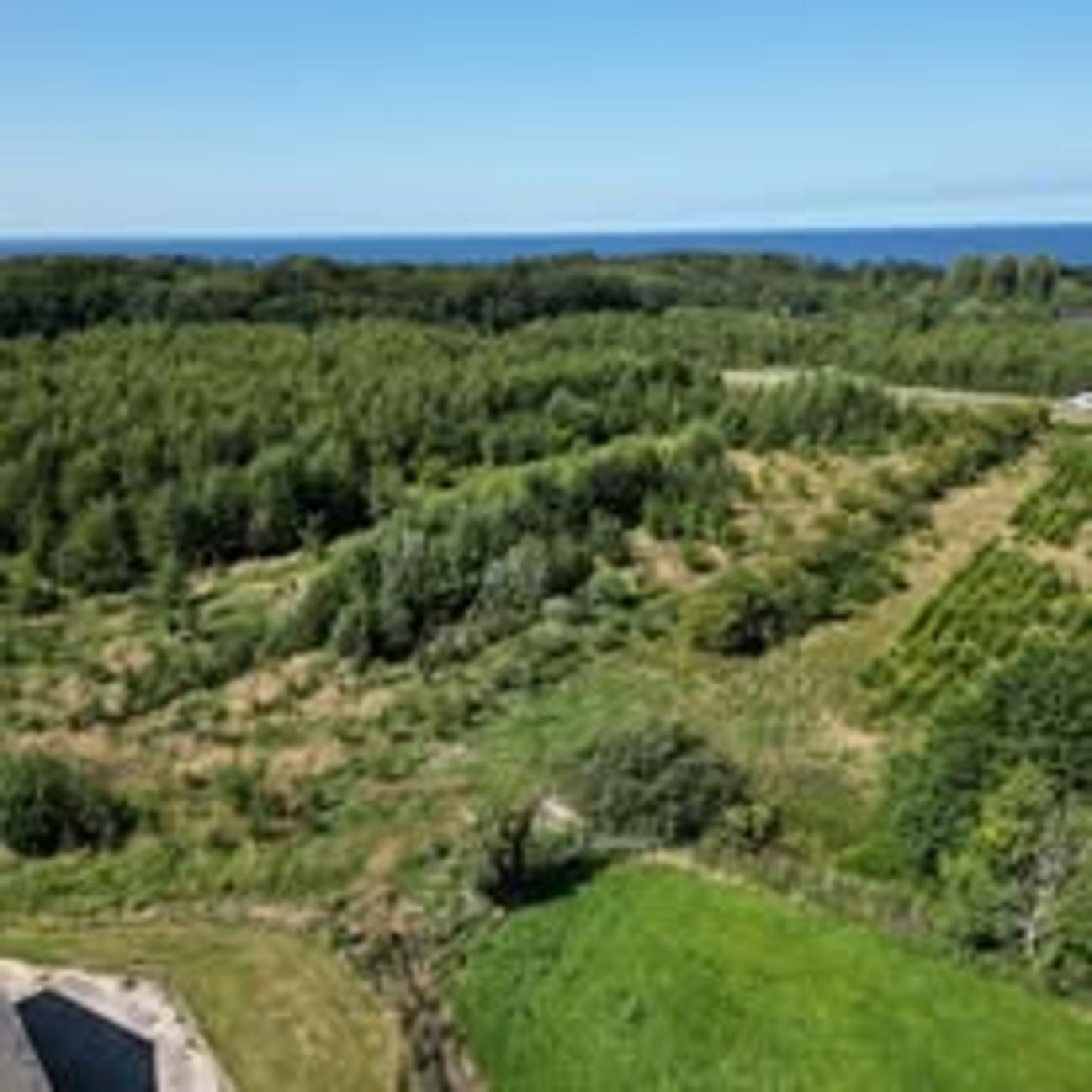 Images Peter Hoe Ejendomme